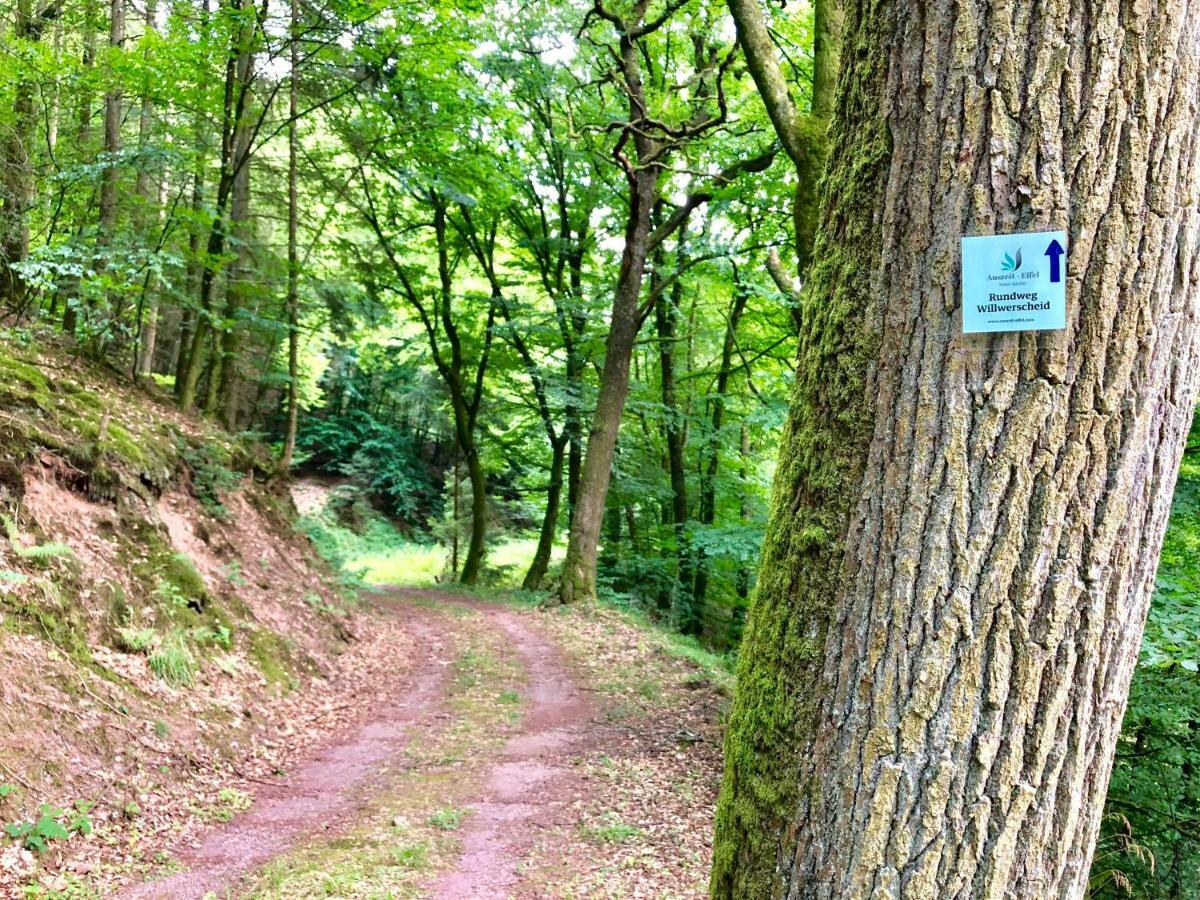 Auszeit-Eifel Eifelhaus "Burgass 1807" Sauna & Badezuber Willwerscheid エクステリア 写真